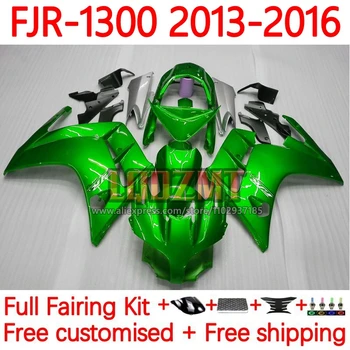 מסגרת ימאהה מבריק ירוק FJR-FJR 1300 1300 סמ 
